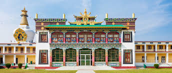 Swimming Classes In Dehradun